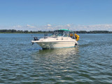 Sea Ray - 270 DA