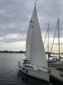 Bavaria - CRUISER 33