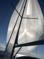 Bavaria - CRUISER 33