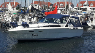 Thumbnail - Sea Ray 300 WE