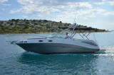 Sea Ray - Sea Ray 275 Amberjack