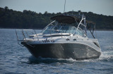 Sea Ray - Sea Ray 275 Amberjack