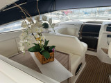 Bavaria - Bavaria 37 Sport 