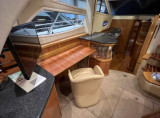 Sealine - Sealine 42.5