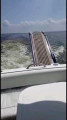 Fairline - Fairline Targa 34