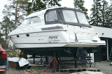 Marex - Marex 350 Scandinavia