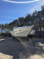 Sunseeker - Sunseeker Portofino 53