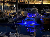 Sealine - Sealine S38 "Open"