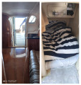 Cobalt Boats - Cobalt 360 Performance Cruiser