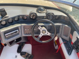 Sea Ray - Sea Ray Pachanger 22