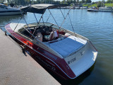 Sea Ray - Sea Ray Pachanger 22