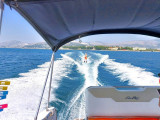 Sea Ray - Sea Ray 255 Sundancer