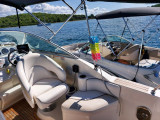 Sea Ray - Sea Ray 255 Sundancer
