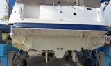 Sea Ray - Sea Ray 355 Sundancer