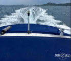 Monterey - Monterey 302