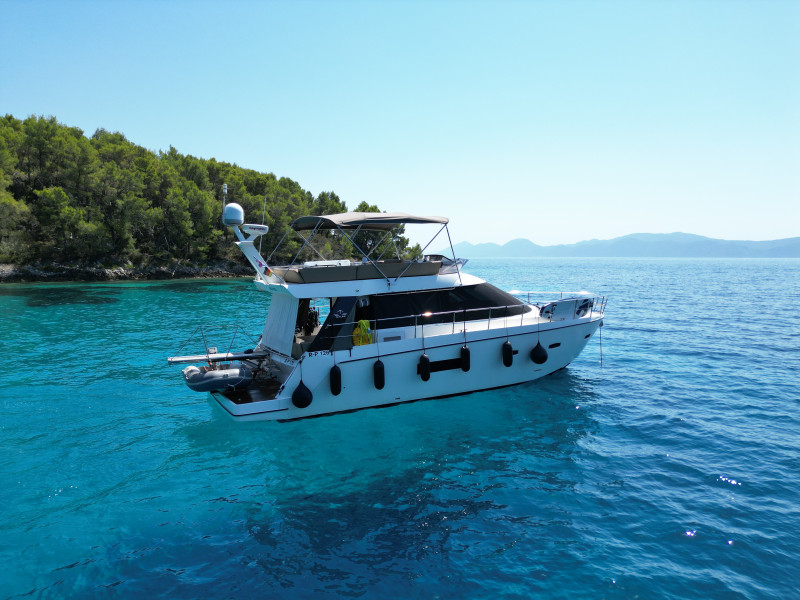 Sealine - Sealine F42/450 Sealine - Sealine F42/450