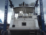 Trader Motor Yachts - TRADER TRADER 445 SIGNATURE