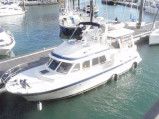 Trader Motor Yachts - TRADER TRADER 445 SIGNATURE