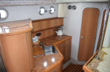 Sealine - SEALINE SEALINE 360 STATESMAN