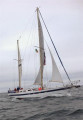  - ENDURANCE ENDURANCE 44