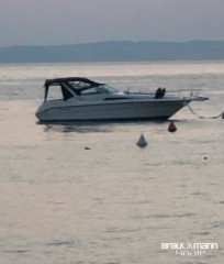 Thumbnail - Sea Ray 310 DA
