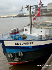 Thumbnail - Schiffswerft Haßmersheim am Neckar Edelweiss