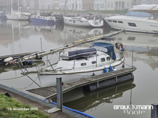 Thumbnail - Havsfidra/Schweden 29