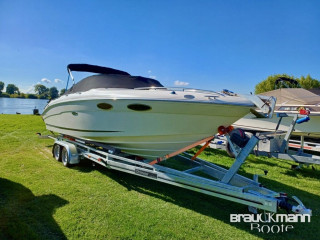 Thumbnail - Sea Ray Modell