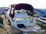 Sea Ray - Sea Ray 255 Sundancer