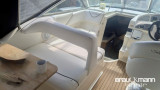 Sea Ray - Sea Ray 255 Sundancer