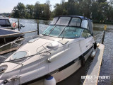Thumbnail - Campion Allante 825i