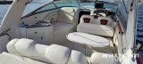 Crownline Boats - Crownline Boats 315 SCR