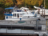 Altena - Altena Kruiser Stahlmotorboot