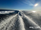 Beneteau - Beneteau Monte Carlo 47 HT
