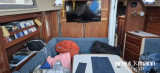 Catalina - Catalina 36
