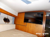 Fairline - Fairline Modell