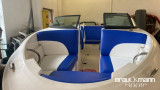 Sea Ray - Sea Ray 190 Sport
