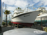 Edership - Edership 40