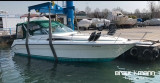 Sea Ray - Sea Ray 310 DA