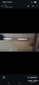 Sea Ray - Sea Ray 310 SAD