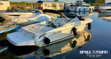 Sea Ray - Sea Ray Modell
