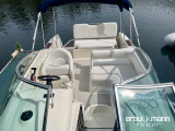 Sea Ray - Sea Ray 255 DAE
