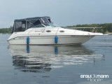 Sea Ray - Sea Ray 250 DA