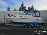 Sea Ray - Sea Ray 250 DA