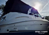 Sea Ray - Sea Ray 335 Sundancer
