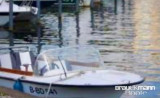 Thumbnail - Allmarine 450