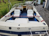 Bayliner - Bayliner (US) 1952 Classic