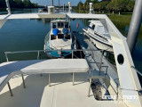 Colvic Craft - Colvic Suncruiser CM 35