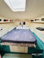Colvic Craft - Colvic Suncruiser CM 35