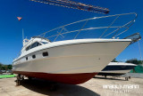 Colvic Craft - Colvic Suncruiser CM 35